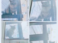 -中国中医科学院望京医院(院本部)