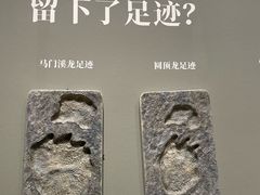 -遇见博物馆(遇见海洋沉浸式奇幻光影展)