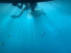 -海棠湾洲际-涛·海底餐厅·美人鱼·自助餐·海底隧道