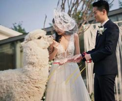 -Lisamoon礼慕纱婚纱礼服高级定制