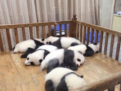 -成都浩海立方海洋公园