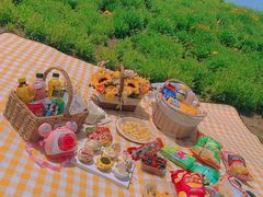 -小麦岛公园