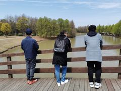 -上海海湾国家森林公园