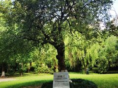 -苏州河梦清园环保主题公园