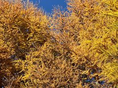 -云座·时光·观景咖啡厅(五爷庙店)