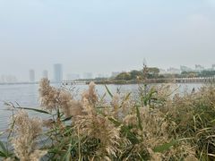 -天津金海湖