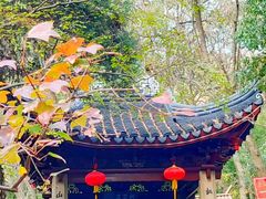 -灵岩山风景区