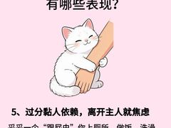 -瑞鹏宠物医院·骨外科·心肾科·肿瘤科(九亭店)
