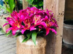 -悦哉·派对·草坪婚礼·围炉煮茶(三圣乡店)