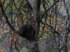 -广元唐家河嘉怡客栈