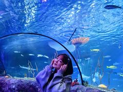 -沈阳海洋探索中心