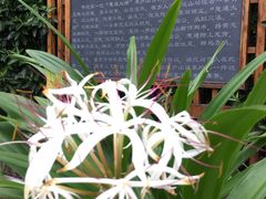 -庐山天沐温泉度假村