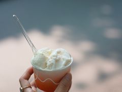 -Dip in Gelato(富民路店)