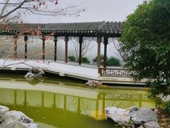 -秋霞圃