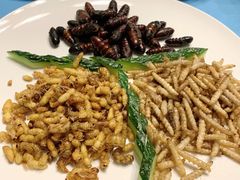 -白家餐厅(徐家汇店)