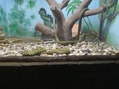 -石家庄极地海洋世界