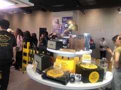 -浣熊唱片店(上海影城店)
