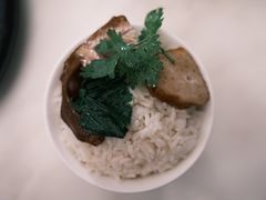 -MR鹅外