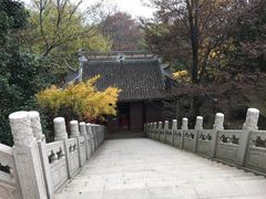 -雨花胜境