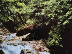 -祁门牯牛降观音堂风景区