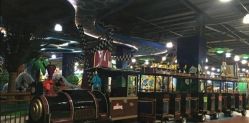 -维佳童话镇演出现场(徐东店)