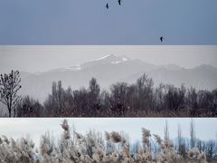 -野鸭湖国家湿地公园