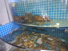 水产区-前王院•巧克力海鲜市集餐厅(万平口店)