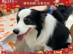 -友谊超市(友谊商城店)