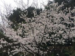 -百林公园-两江幸福广场