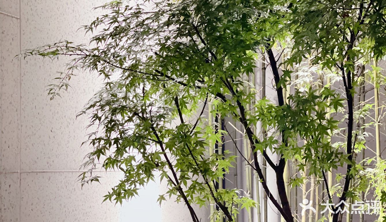 帝都日料天花板 银座岩｜闹市有静