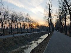 -东郊湿地公园