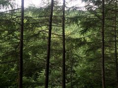 -丹东天桥沟景区