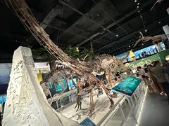 -国家自然博物馆