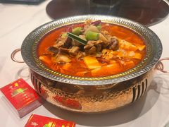 -华膳楼·安徽地标美食·中华餐饮名店(文化公园店)