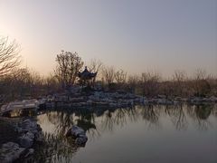 -上海滨江森林公园