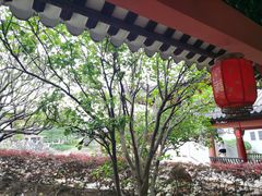 -广东花都湖国家湿地公园