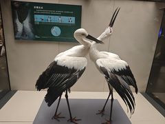 -天津自然博物馆