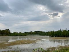 -白鹭湾湿地公园