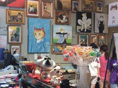 -猫咪博物馆(顶澳仔猫街店)