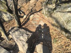 -宝岩生态观光园