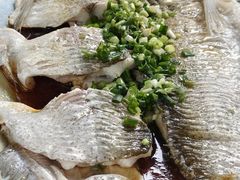 -阿巧茶庄