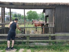 -田园东方蜜桃村的田野营地