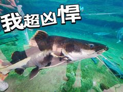-珠海长隆海洋王国
