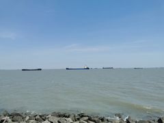 -上海滨江森林公园