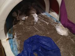 -席仁堂推拿按摩脊柱调理(世纪科贸大厦店)