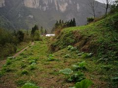 -鹿院坪生态旅游景区