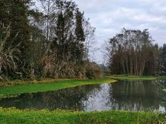 -桤木河湿地公园