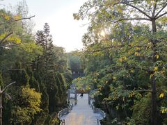 -榴花公园
