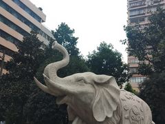 -白象居