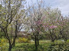 -梁鸿国家湿地公园